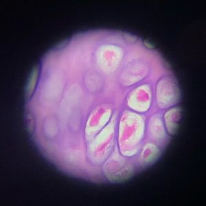 Meet your Posher, Karilynn